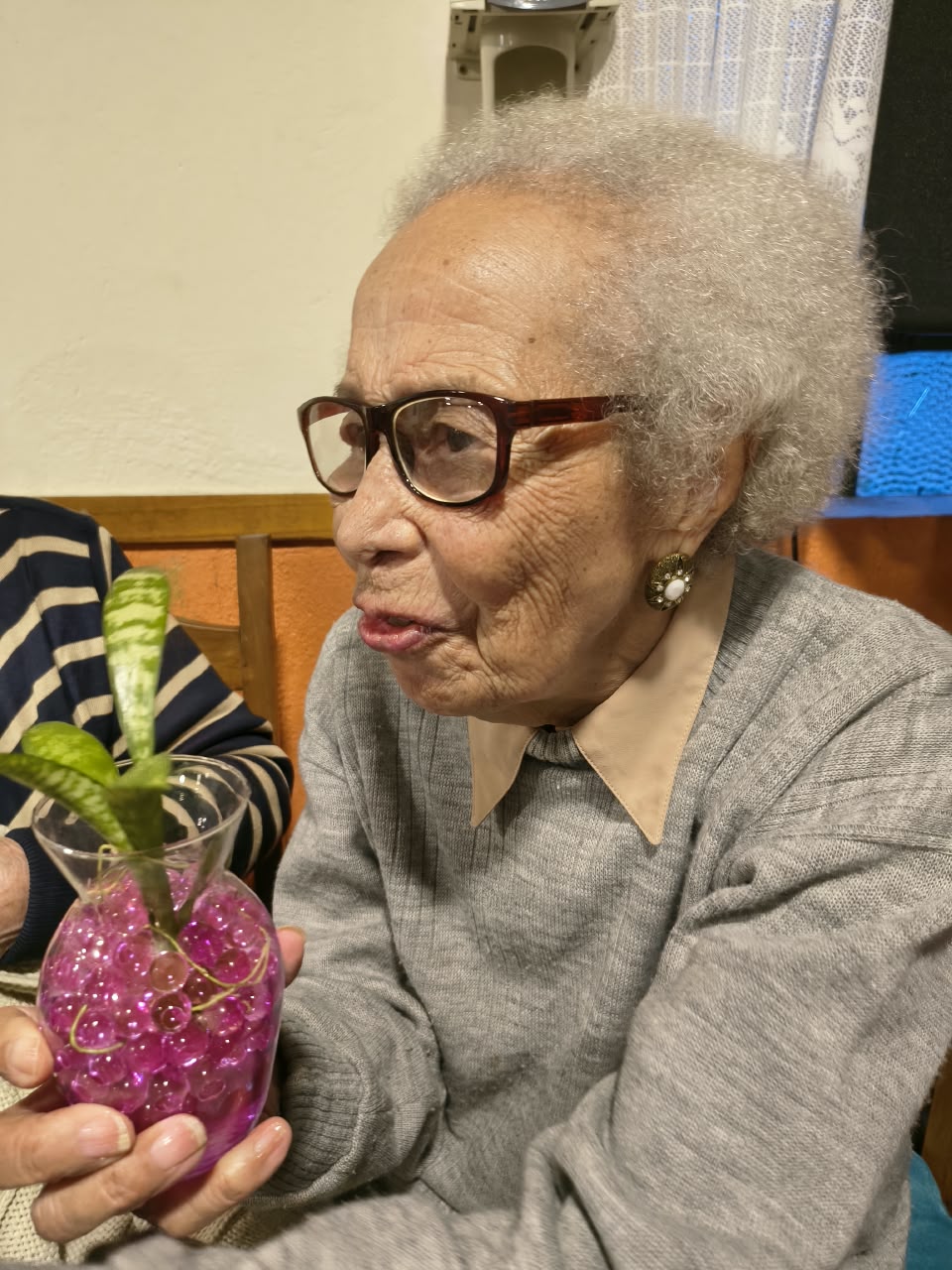 Idosos em Movimento — Sarau - 15/08/2026 - 100 Anos da dona Ana Maria